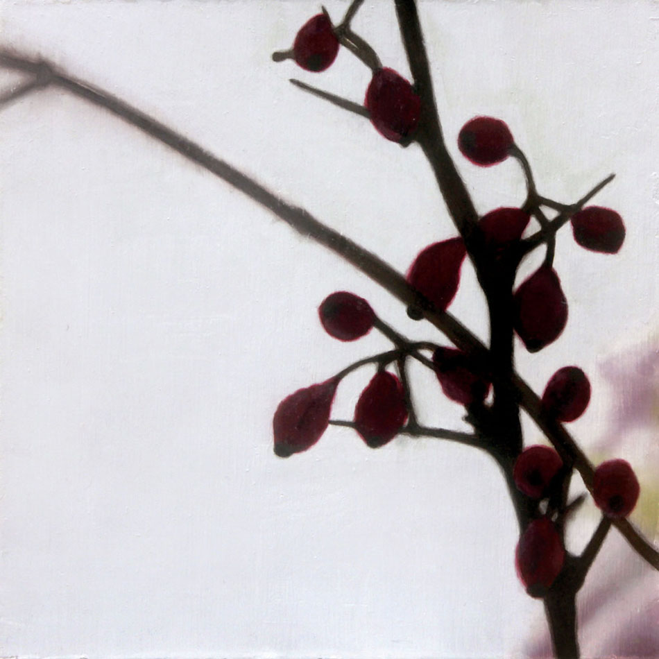 10 Berries 950px
